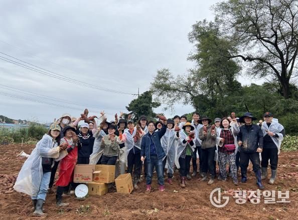 오산시 대원2동 통장협의회, ‘사랑의 고구마 수확’ 봉사활동 전개