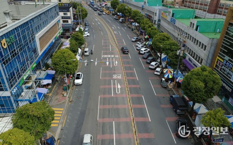 달성군 가로수 테마전정(원형 전지한 화원읍 구간)