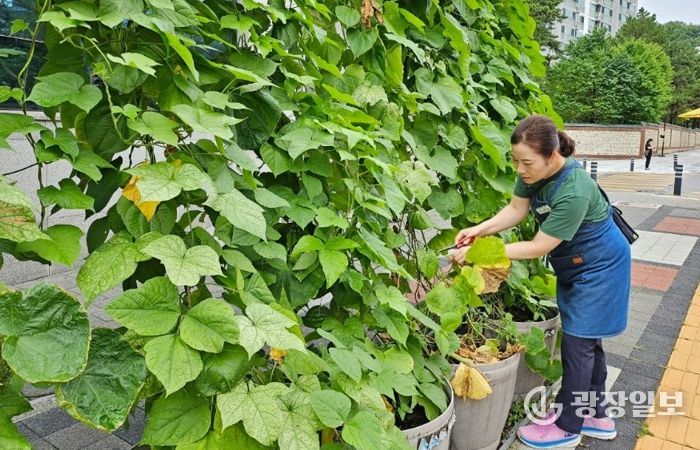 양주시, ‘찾아가는 도시농업서비스’ 본격 추진