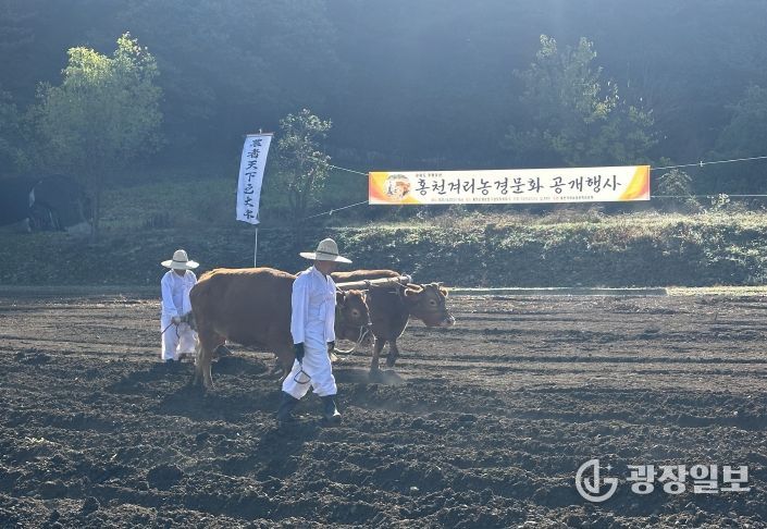2025 홍천겨리농경문화 공개행사
