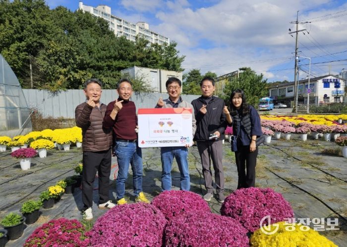 고양시 덕이동, 독거어르신 50가구에 가을꽃 국화 전달