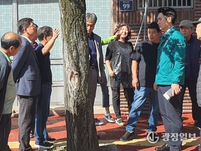 경상남도의회 정재욱 도의원, 노후 가로수 주민불편 해소 나서