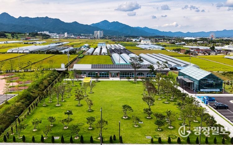곡성군, 테라밸리 힐링 피크닉 개최