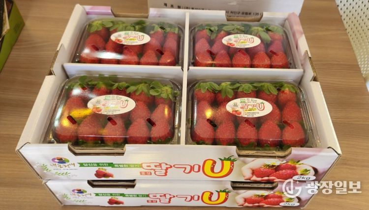 달콤한 시작은 홍성에서...홍성딸기 가락시장 데뷔!