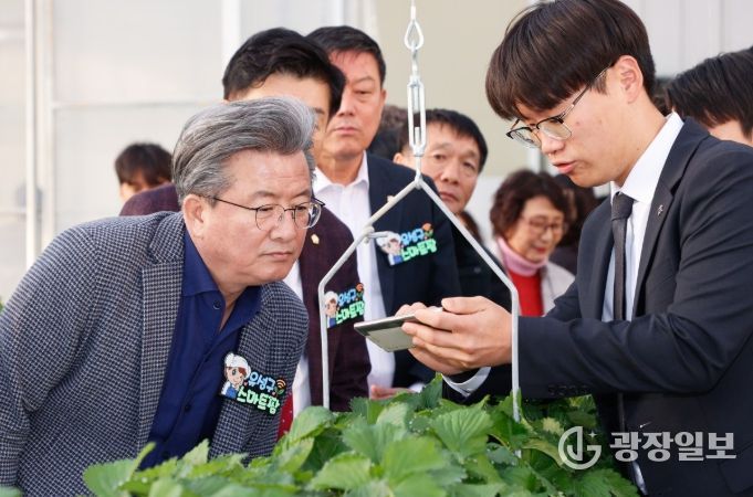 지난 28일 진행된 ‘유성구 스마트팜’ 개장식에서 정용래 유성구청장이 스마트팜 기술 시연을 확인하고 있다