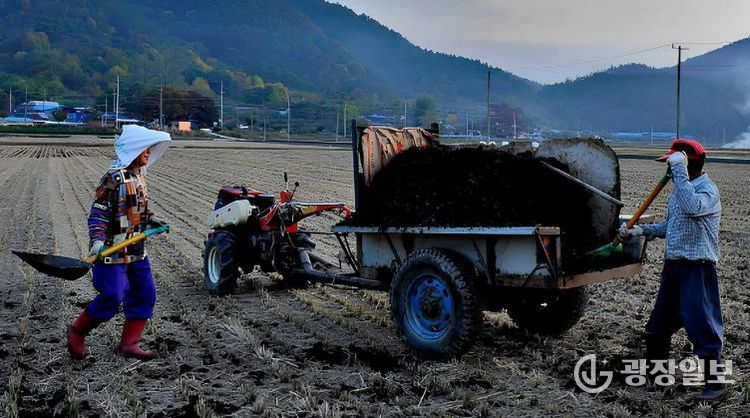 퇴비 살포 사진
