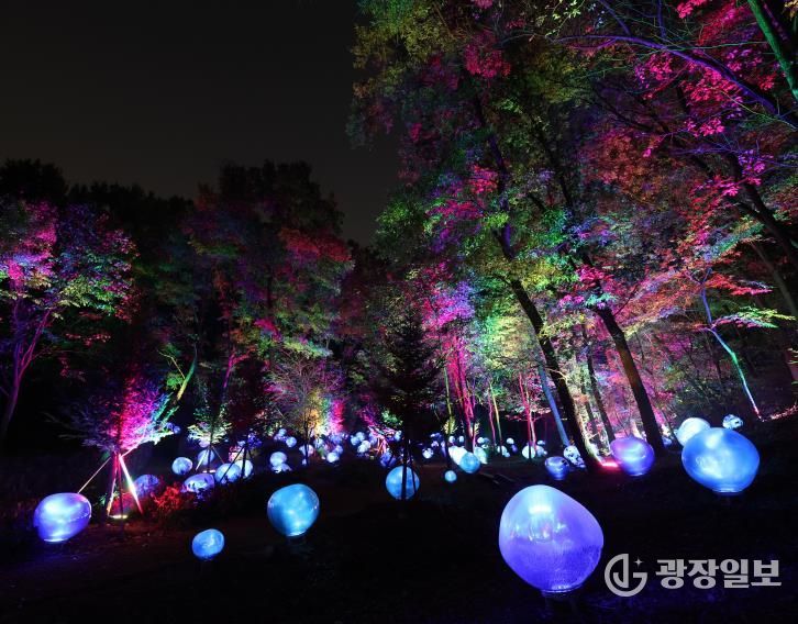 형형색색의 복사꽃 씨앗이 빛나는 도화씨 구간 전경