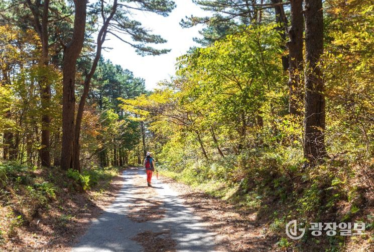 ‘광양백운산 둘레길’