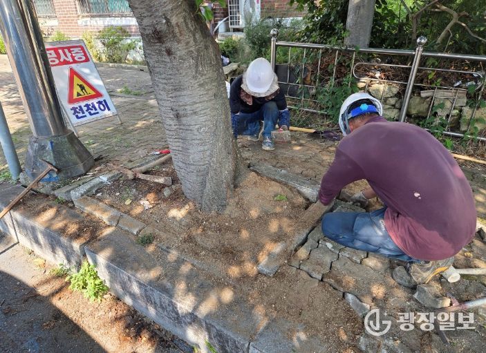 보도블록 파손 구간 점검·정비로 보행자 안전사고 예방 추진