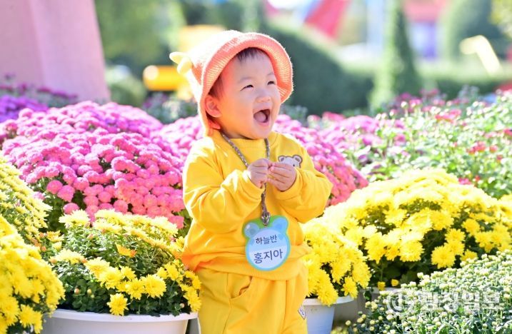 ‘진주국화작품전시회’