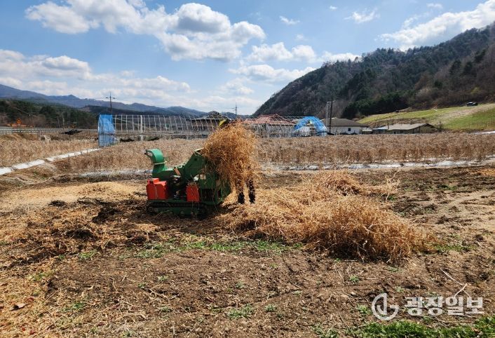 홍천군, 가을철 영농부산물 파쇄작업 통한 자원순환·산불예방 효과 기대