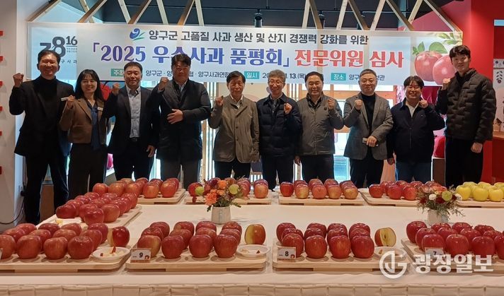 양구 우수 사과 품평회, 이성일 씨 2년 연속 대상 영예