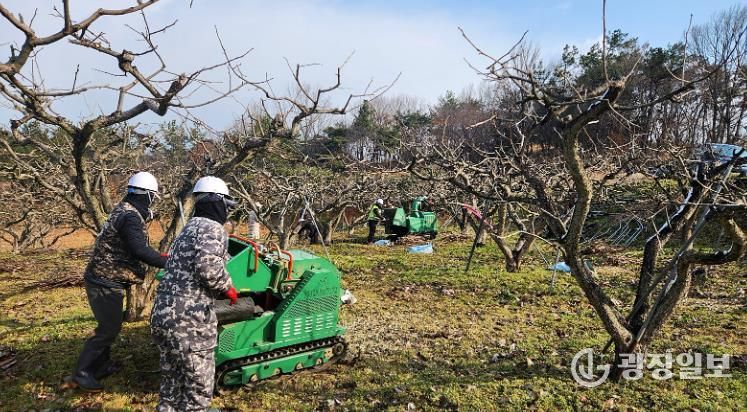 영암군, 내년 영농부산물 안전처리 지원사업 신청 접수