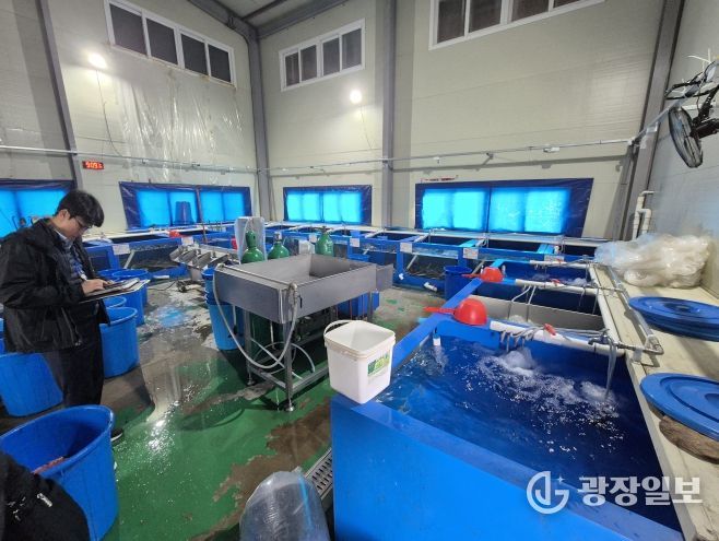 국내산 민물장어로 둔갑된 중국산 장어 현황판을 확인 중인 중부해경과 수품원 공무원