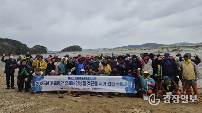 지난 18일 지곡면 도성리, 대요리 일원 갯벌에서 진행된 갯끈풀 제거 작업