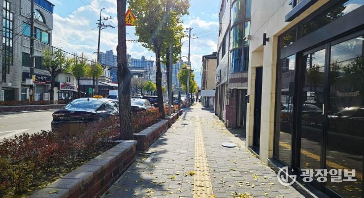 도로정온화 사업(두루침교~낙원사거리)