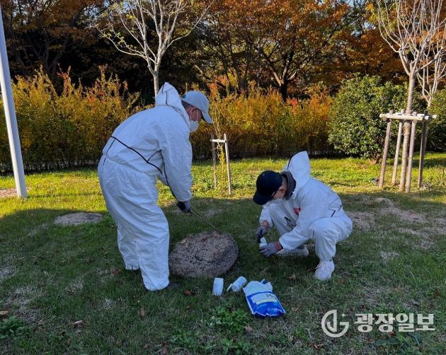 영광군, 동절기 모기 유충구제 집중 추진