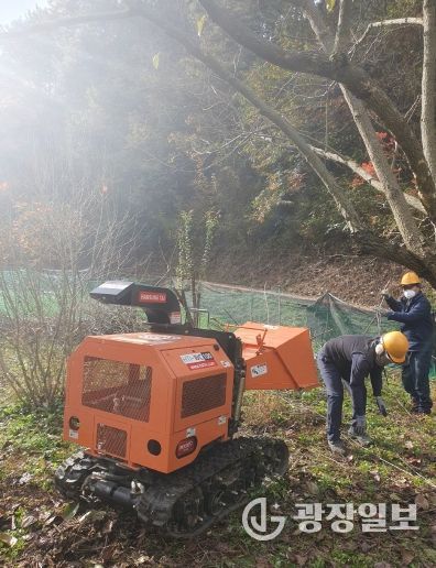 곡성군 파쇄지원단 활동 모습