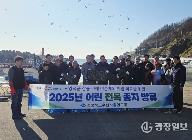 어린 전복 15만 마리 방류
