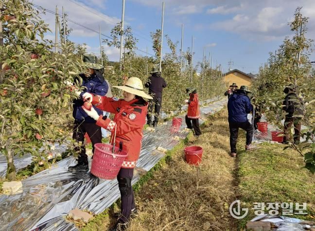 홍성군 홍성읍·구항면, 가을철 농촌 일손돕기 나서