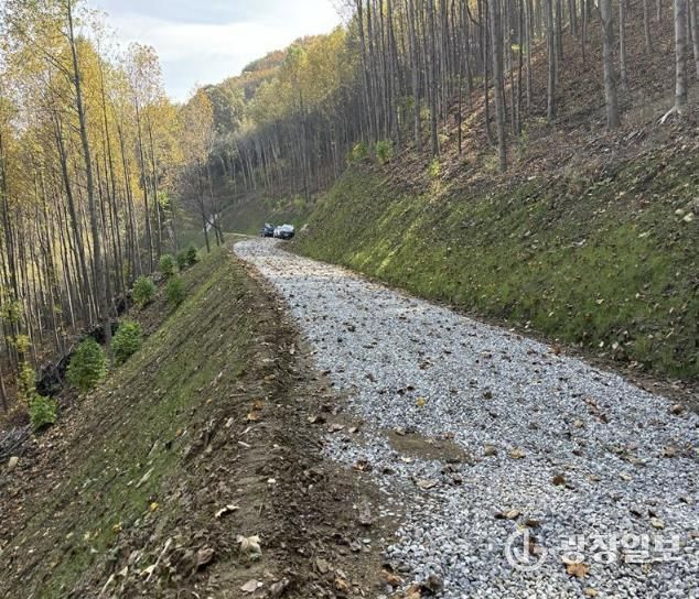 2024년 개설된 임도 조성지(신창면 창암리)