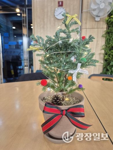 거제식물원, 12월 가드닝데이 '크리스마스 트리 만들기' 운영