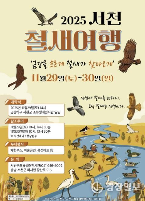 서천군, 철새도래지에서 철새와 함께하는 겨울 생태여행 떠나요