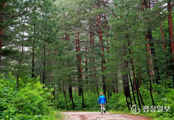 단풍길을 걷고 바다 미식즐기는 울진여행