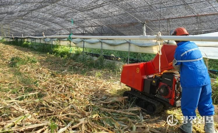 거제시 겨울철 산불 방지를 위한 영농부산물 안전처리 지원