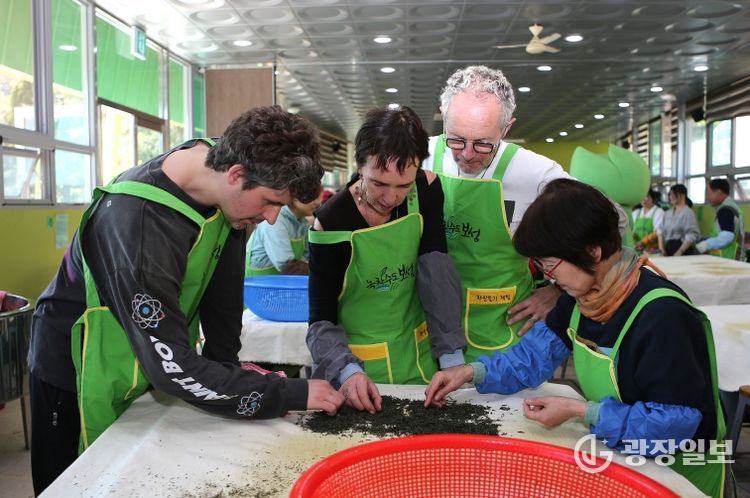 보성군, 한국차박물관 ‘2025년 공립박물관 평가 인증 기관’ 2회 연속 선정_차 만들기 체험을 하고 있다