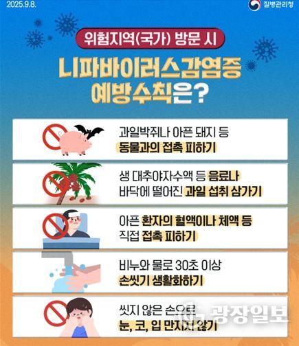 니파바이러스 예방수칙 질병청 카드뉴스