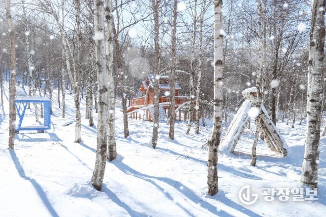 태백시, 인플루언서와 손잡고 겨울 콘텐츠 홍보