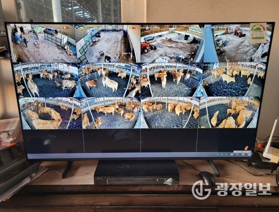 ‘2026년 축산분야 ICT 융복합 확산사업’ 선정 8억8천만원 확보