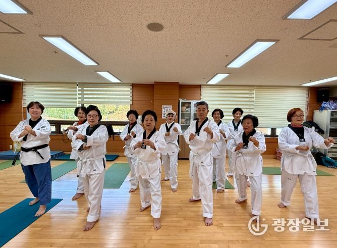 ‘활력 실버 태권도’ 프로그램