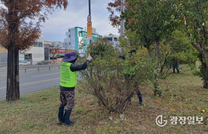 무궁화 전정작업 현장