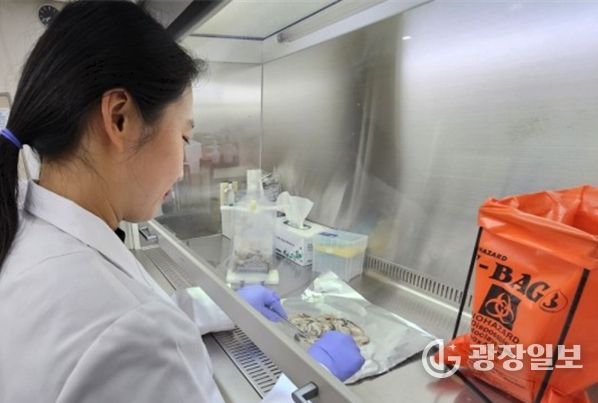 인천시, 겨울철 노로바이러스 식중독 주의 당부