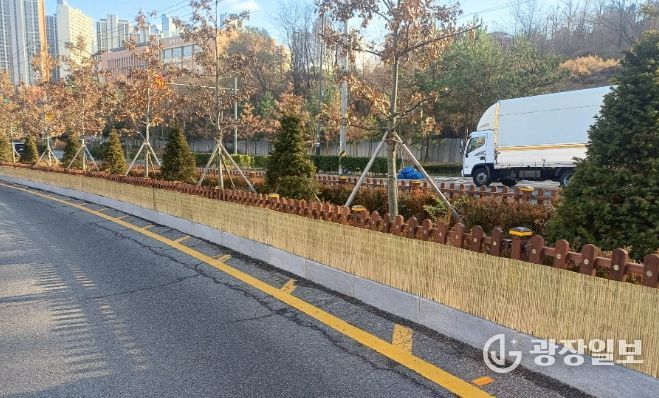 겨울철 강풍·한파 대비 가로녹지 보호 작업