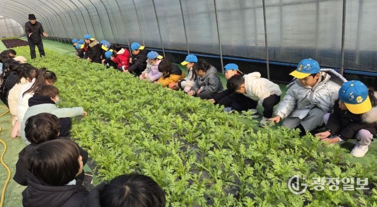 로컬푸드 산지투어 성료 사진
