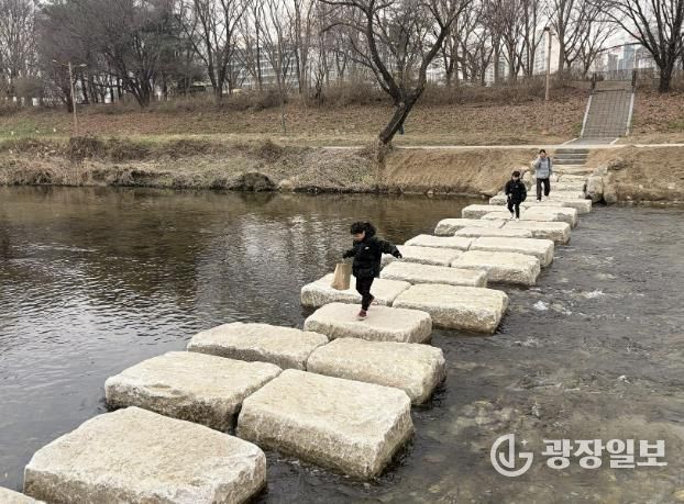 성남시 분당구 구미동 성남물빛공원~무지개마을 잇는 탄천 징검다리