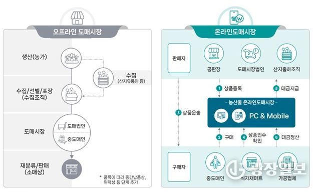 산지 농수산물 유통망 안정적 구축