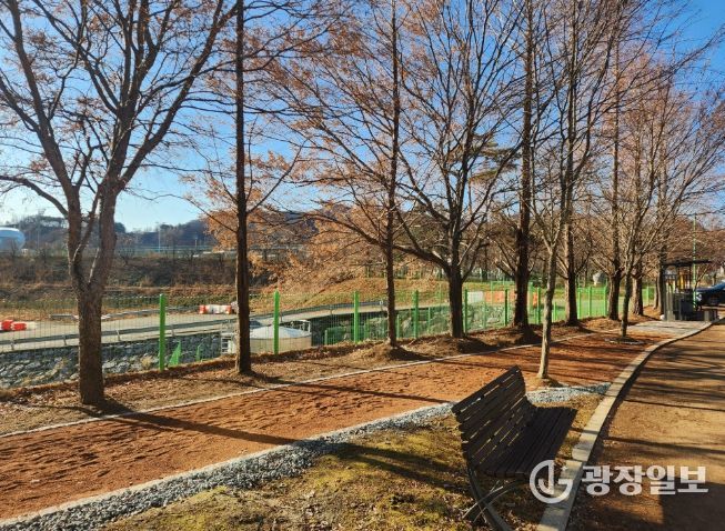 영월군 스포츠파크 맨발걷기 길 조성