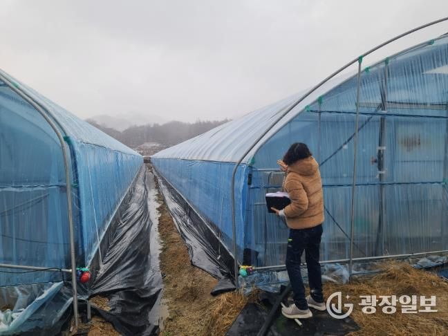 금산군농업기술센터 관계자가 겨울철 농업 시설을 점검하고 있다.