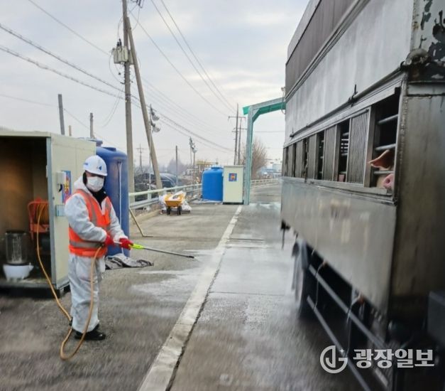 전북 첫 조류독감 비상…익산시 선제 대응체계 강화
