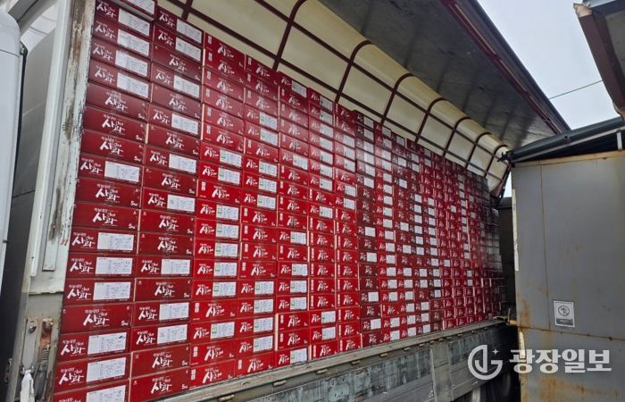 인제사과, 공영홈쇼핑 3차 방송 35분 만에 전량 완판