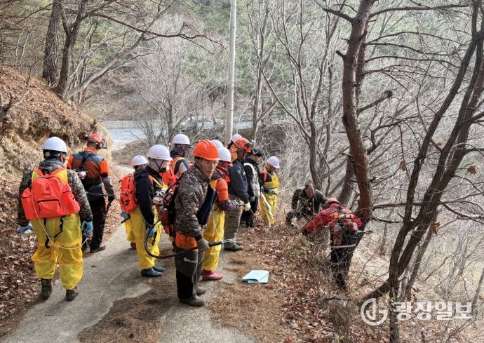 울진군, 소나무재선충병 확산 차단 총력