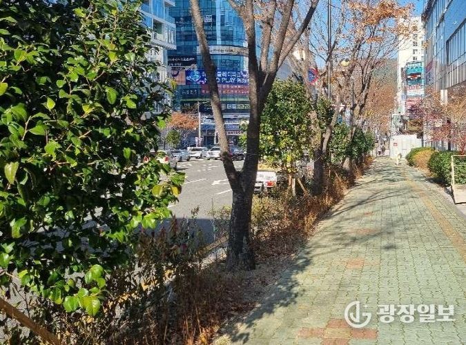 기장군, ‘정관신도시 도시바람길숲’ 조성 완료