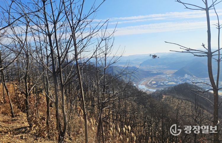 청송군, 산불피해지 대체작물조성 시범사업 시행