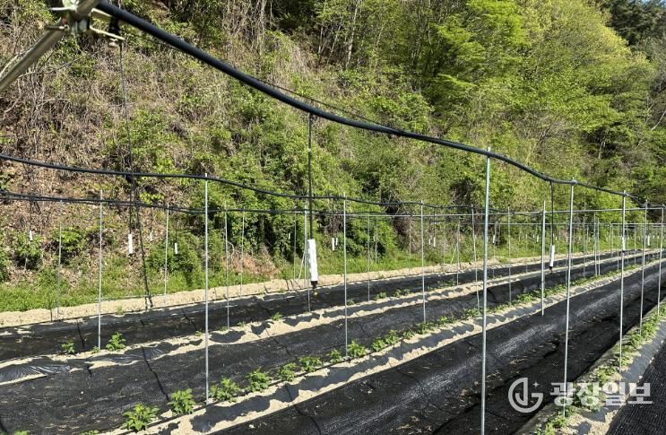 원예특작분야 지원사업 시설지원