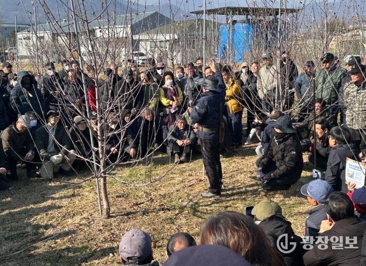 문경시, 일본 사과 전문가 초청 기술교육