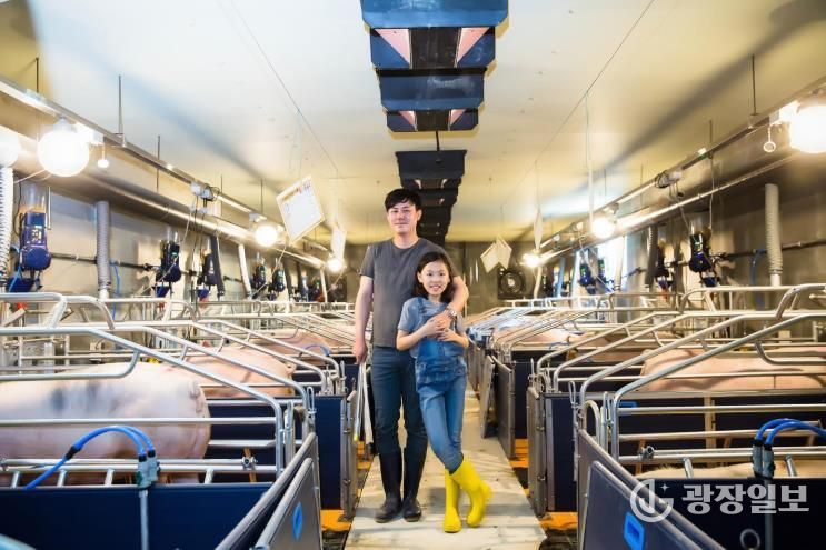 정읍시, ‘깨끗한 축산농장’ 265곳 지정… 목표 초과 달성